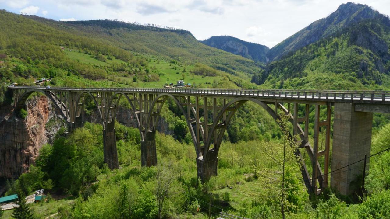 Eco Camp Drno Brdo Villa Kosanica Luaran gambar
