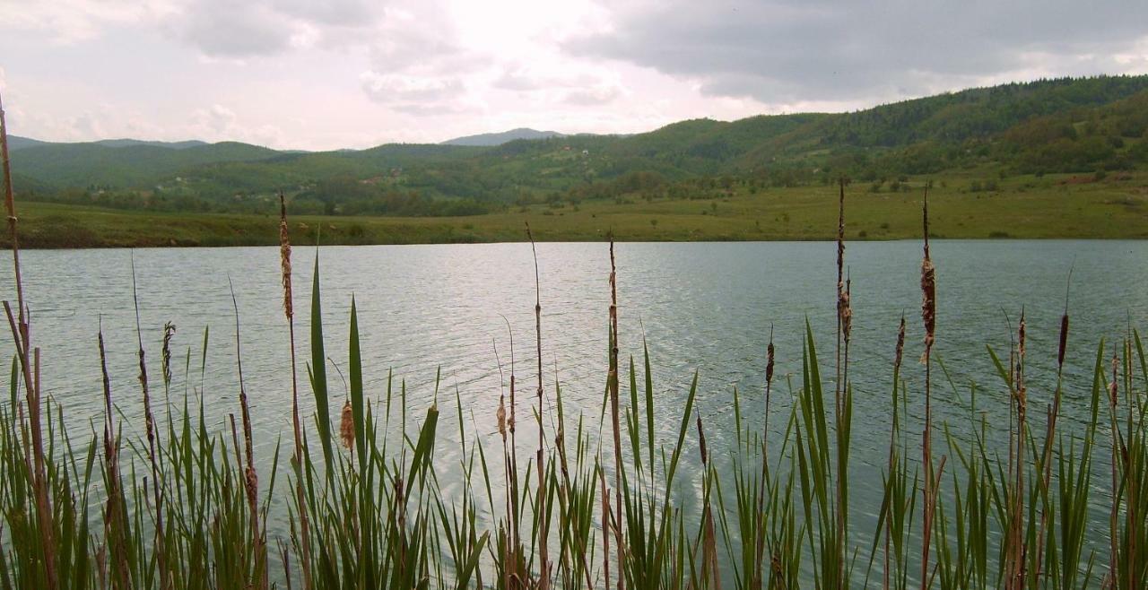 Eco Camp Drno Brdo Villa Kosanica Luaran gambar